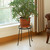 14"H Argyle Plant Stand