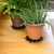 8" Flower Wrought Iron Trivet, pack of 2