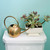 Brass Watering Can