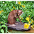 Coy Cat