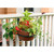 8" Flower Pot Ring, pack of 2