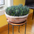 12" Round Copper Tray