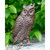 Great Horned Owl