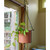 Vera Hanging Planter, Burnt Sienna