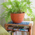 Large Planting Pot, Burnt Sienna