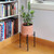 Eileen Plant Stand