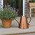 Dainty Copper Watering Can