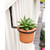 4" Flower Pot Ring, pack of 2