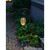 Fiddlehead Poles, pack of 2