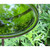 14" Fern Green Bowl, Cradle and Stake