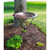 24" Classic Copper Birdbath- Ring Stand