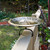 Three Hares Birdbath- Over Rail Bracket