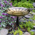 African Daisy Birdbath- Tripod Stand