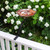 Bee Fountain & Birdbath- Rail Mount Bracket