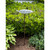 Aspen Leaf Birdbath- Stake