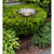 African Daisy Birdbath- Stake