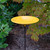 12" Sunflower Lolly Birdbaths with Stake