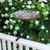 African Daisy Birdbath- Rail Mount Bracket
