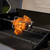 4 Burner Stainless Steel Rotisserie Kit