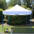 ATHENA 10X10 BLUE FRAME Instant Pop Up Tent w/ WHITE Cover
