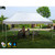 Univeral 10X20 Instant Pop Up Tent WHITE Cover