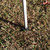 Easy Shut 8ft x 8ft Instant Pop up Canopy - With Accessories -  White