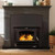 Black Medium Bay Front Wood Burning Fireplace Insert - Model 81C