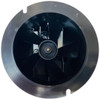 Packard Combustion Air Booster, 120 V, 3000 RPM, 60Hz, 65404, Nordyne 903404
