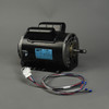 Electric Motor