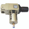 1/2" NPT Vertical Filter Regulator