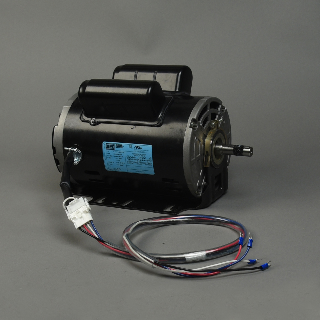 Electric Motor