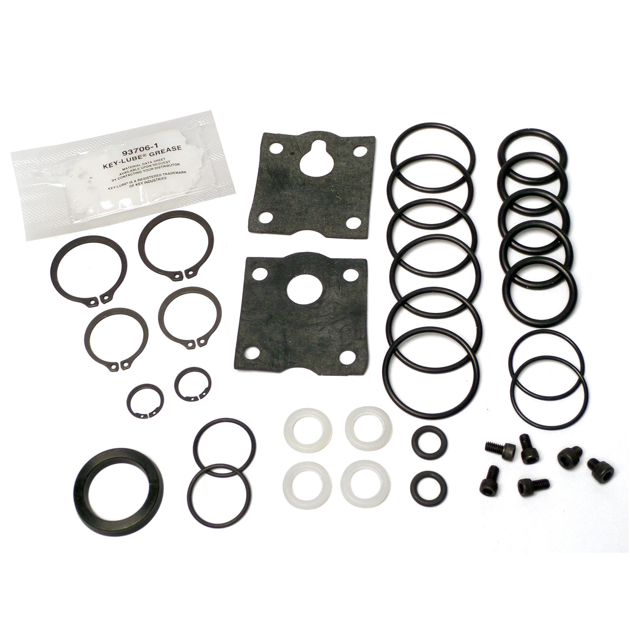 Air Section Repair Kit – 1″ Diaphragm for ARO