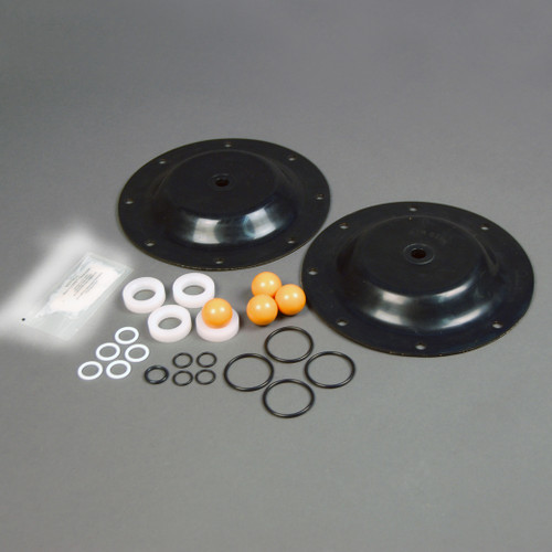 1" Diaphragm Pump Kit 1:1 Ratio for ARO