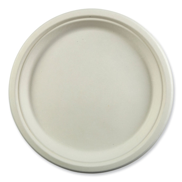 Bagasse PFAS-Free Dinnerware, Plate, 10.27" dia, White, 500/Carton