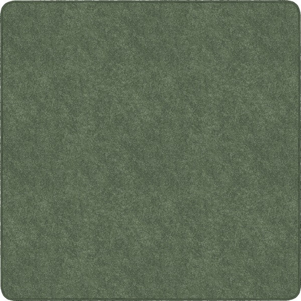 Flagship Carpets Amerisoft Solid Color Rug - 72" Length x 72" Width - Square - Sage Green - Polyester, Nylon