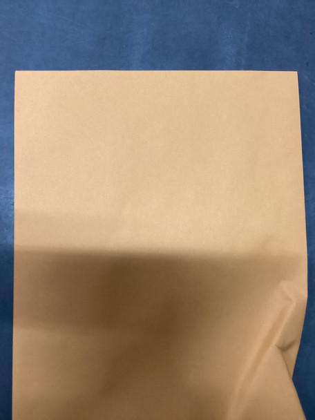 Envelope 9.5X12.5 Kraft 250 BX