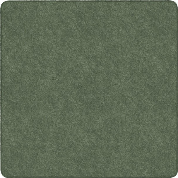 Flagship Carpets Amerisoft Solid Color Rug - 72" Length x 72" Width - Square - Sage Green - Polyester, Nylon
