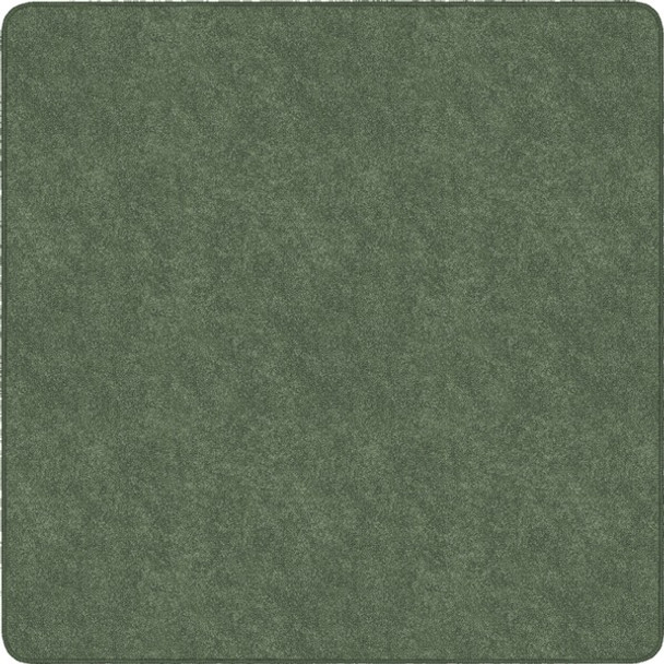 Flagship Carpets Amerisoft Solid Color Rug - 12 ft Length x 12 ft Width - Square - Sage Green - Nylon, Polyester