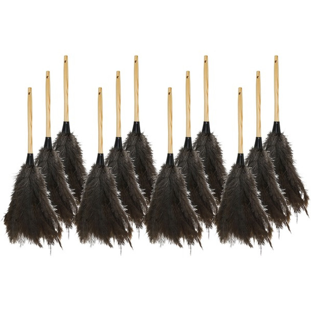 Genuine Joe Feather Duster - 12 / Carton - Brown