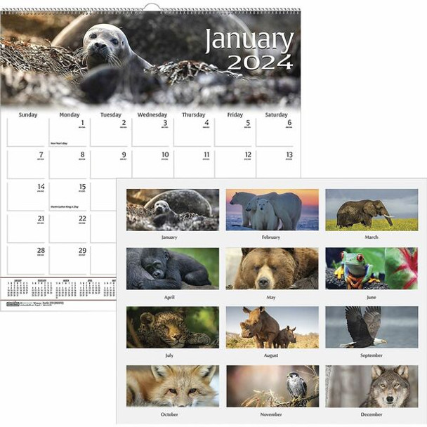 House of Doolittle Earthscapes Wildlife Wall Calendars - Julian Dates - Monthly - 1 Year - January 2024 - December 2024 - 1 Month Single Page Layout - 12" x 12" Sheet Size - 1.63" x 1.63" Block - Wire Bound - Paper - Hanging Loop - 1 Each