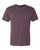 Triblend T-Shirt 6010M