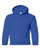 Heavy Blend™ Youth Hooded Sweatshirt 18500B