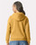 Softstyle® Midweight Hooded Sweatshirt SF500