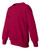 Ecosmart® Youth Crewneck Sweatshirt P360