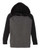 Toddler Special Blend Hooded Raglan Sweatshirt PRM10TSB