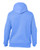 Premium Hooded Sweatshirt 8824