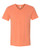 Triblend V-Neck Short Sleeve Tee 3415C