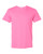 Premium Cotton T-Shirt 570MR