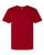 Premium Cotton T-Shirt 570MR