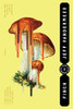 Finch (Ambergris Trilogy)
